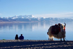 The lake in tibet that feels like heaven