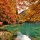 :: 文迪飛行日記 :: 天堂般的景色－瑞士藍湖（Blausee）